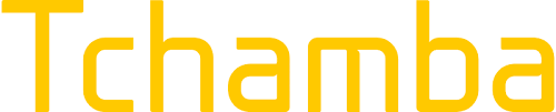 logo Tchamba Telecom